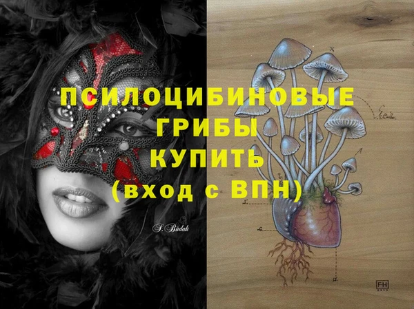 бошки Струнино
