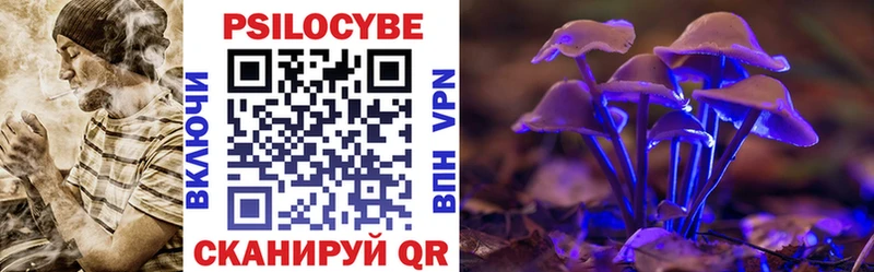 Псилоцибиновые грибы мухоморы Почеп