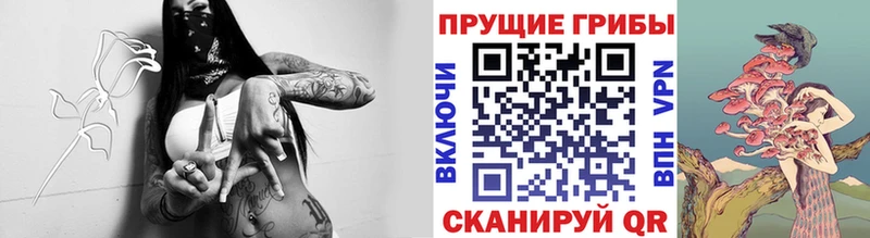 Псилоцибиновые грибы MAGIC MUSHROOMS  Купить где  Почеп 